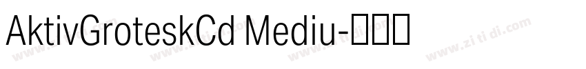 AktivGroteskCd Mediu字体转换